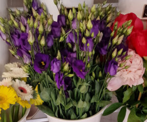 Lila Lisianthus