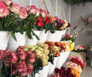 Rosen & Gerbera