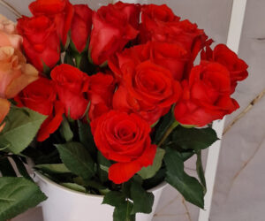 Blaue Rosen, Braune Rosen