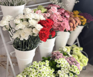 Verschiedene Blumen
