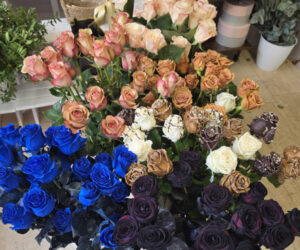 Bunte Rosen Strauß